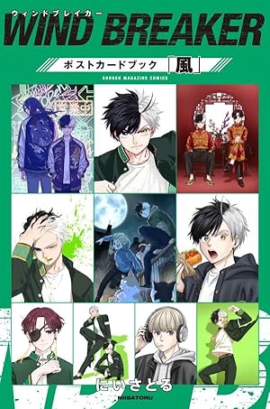 WIND BREAKER(22) 特装版 (講談社キャラクターズA) | にい